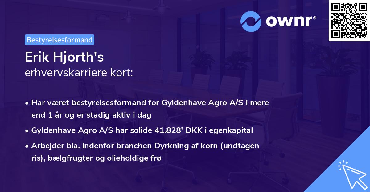 Erik Hjorth's erhvervskarriere kort