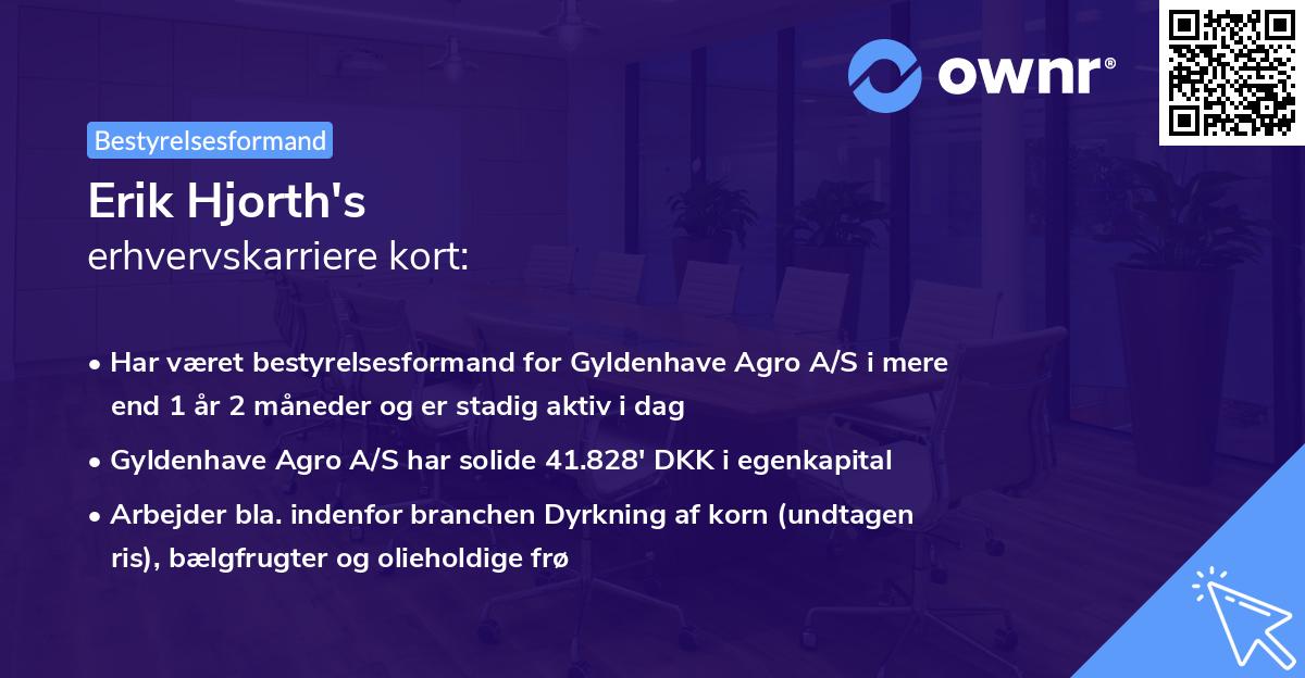 Erik Hjorth's erhvervskarriere kort