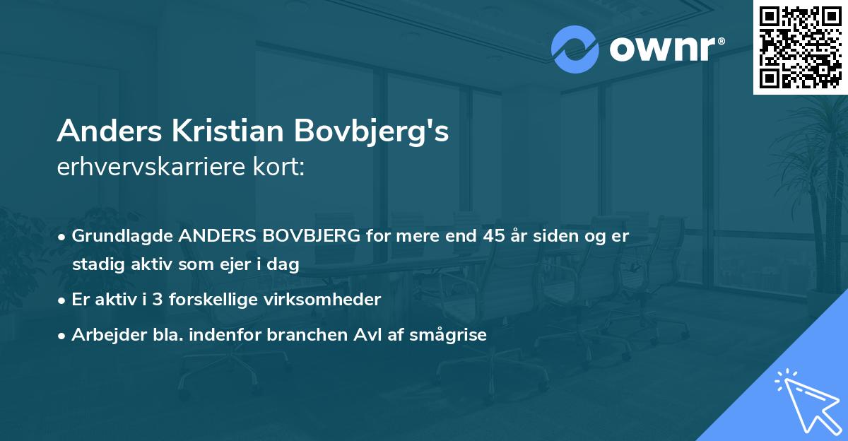 Anders Kristian Bovbjerg's erhvervskarriere kort