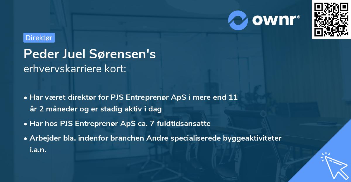 Peder Juel Sørensen's erhvervskarriere kort