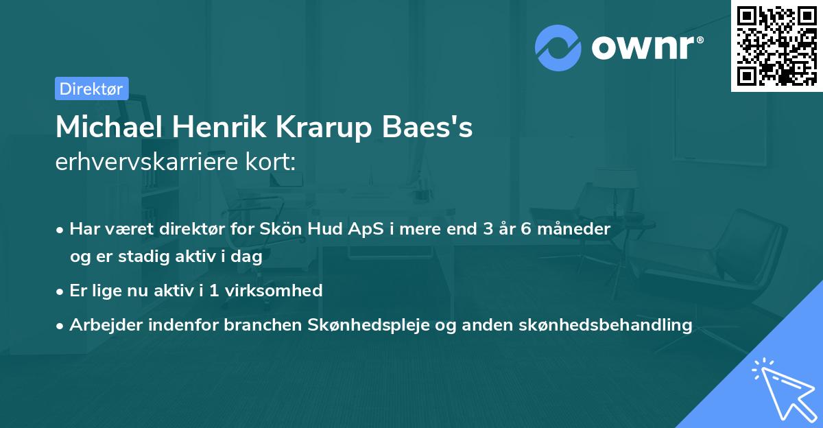 Michael Henrik Krarup Baes's erhvervskarriere kort