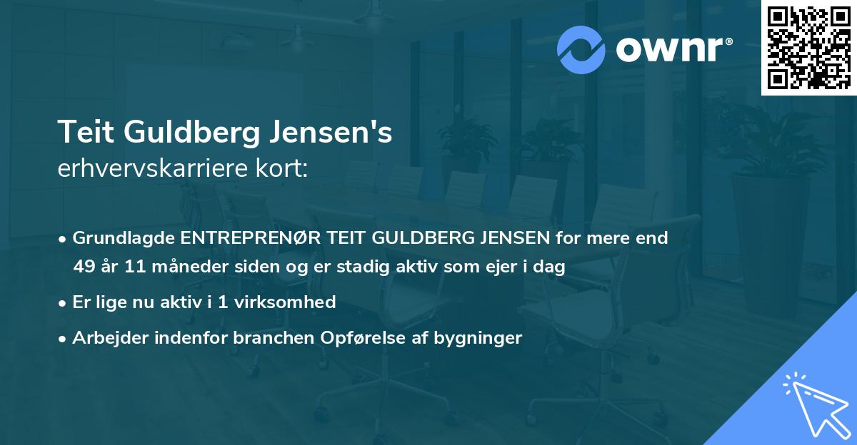 Teit Guldberg Jensen's erhvervskarriere kort