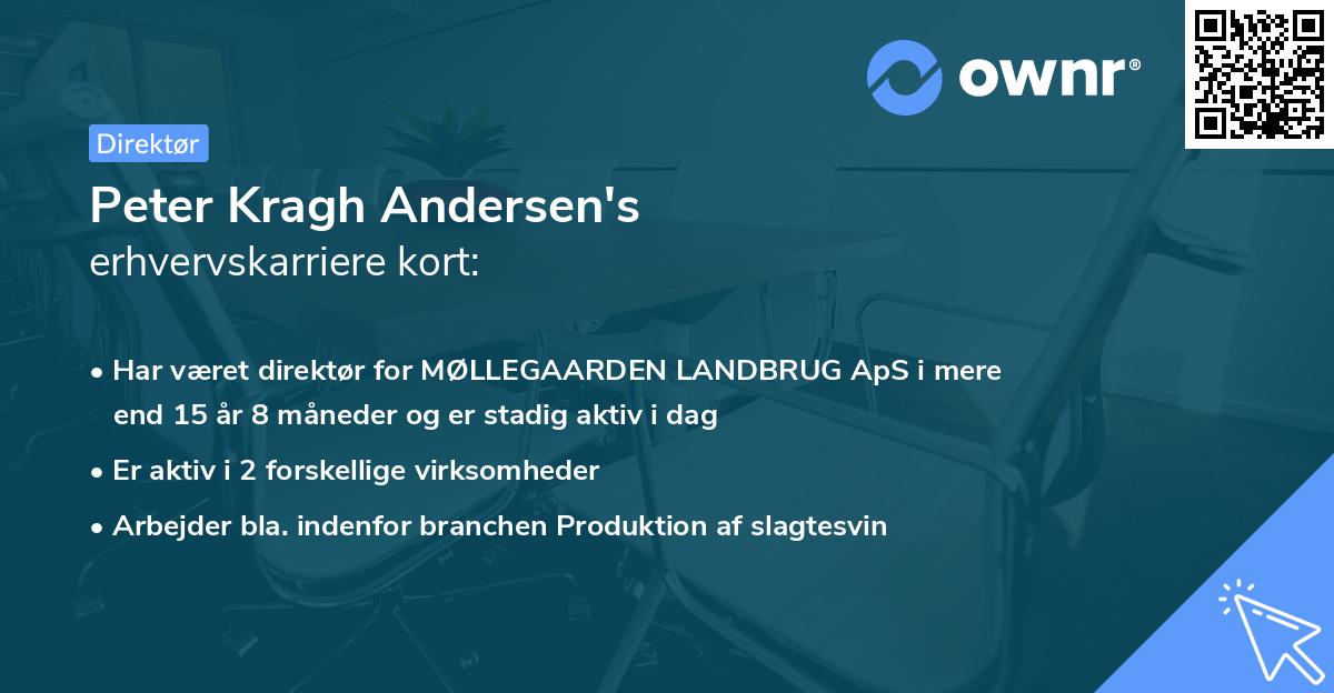 Peter Kragh Andersen's erhvervskarriere kort