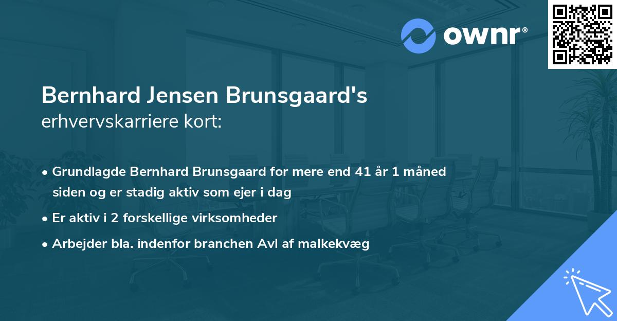 Bernhard Jensen Brunsgaard's erhvervskarriere kort