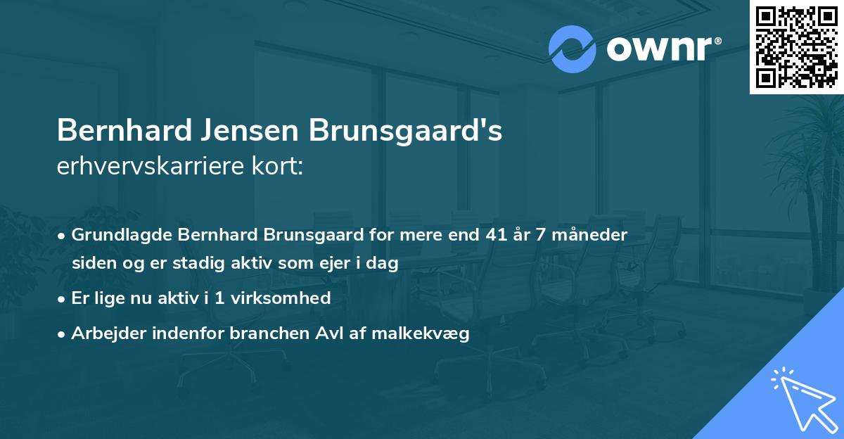 Bernhard Jensen Brunsgaard's erhvervskarriere kort