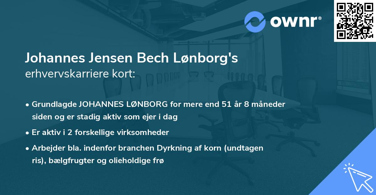 Johannes Jensen Bech Lønborg's erhvervskarriere kort