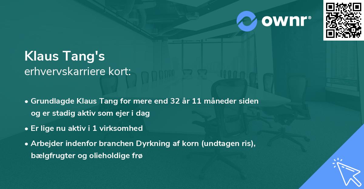 Klaus Tang's erhvervskarriere kort