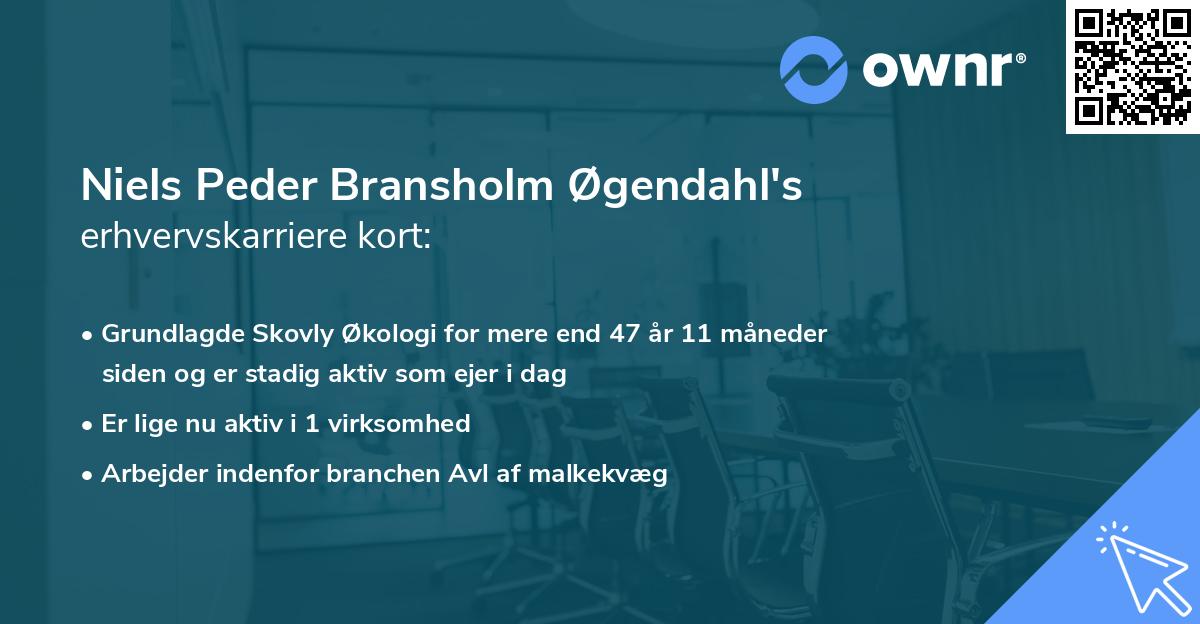 Niels Peder Bransholm Øgendahl's erhvervskarriere kort