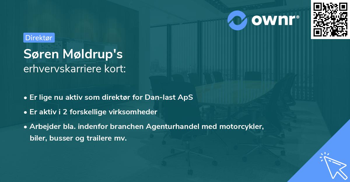 Søren Møldrup's erhvervskarriere kort
