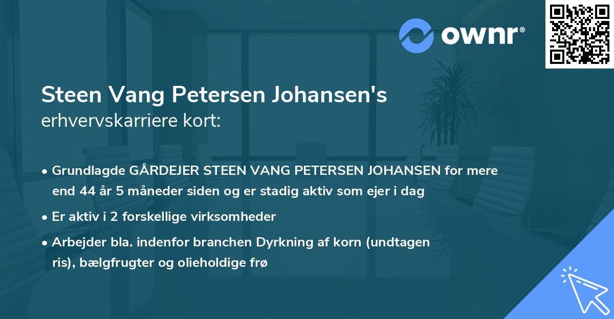 Steen Vang Petersen Johansen's erhvervskarriere kort