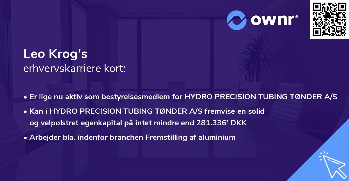 Leo Krog's erhvervskarriere kort