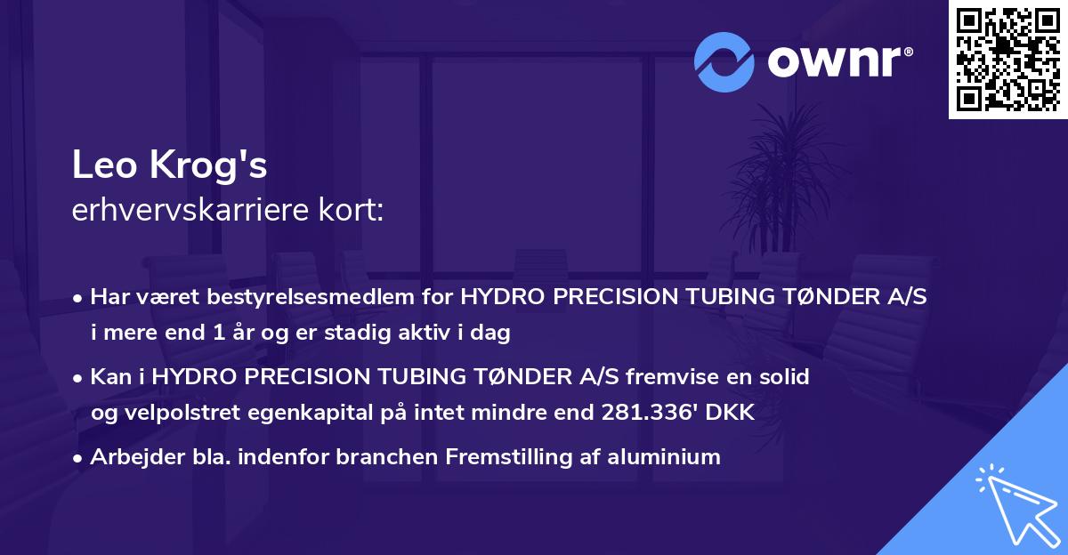 Leo Krog's erhvervskarriere kort