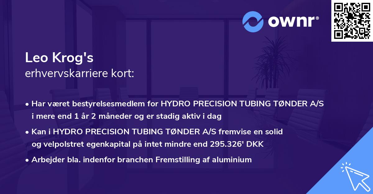 Leo Krog's erhvervskarriere kort