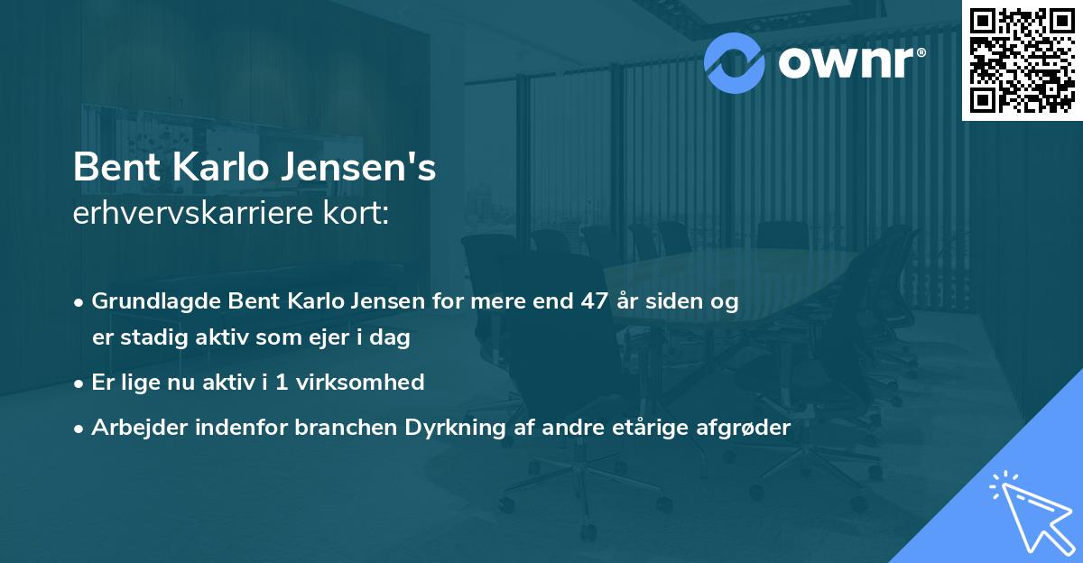 Bent Karlo Jensen's erhvervskarriere kort