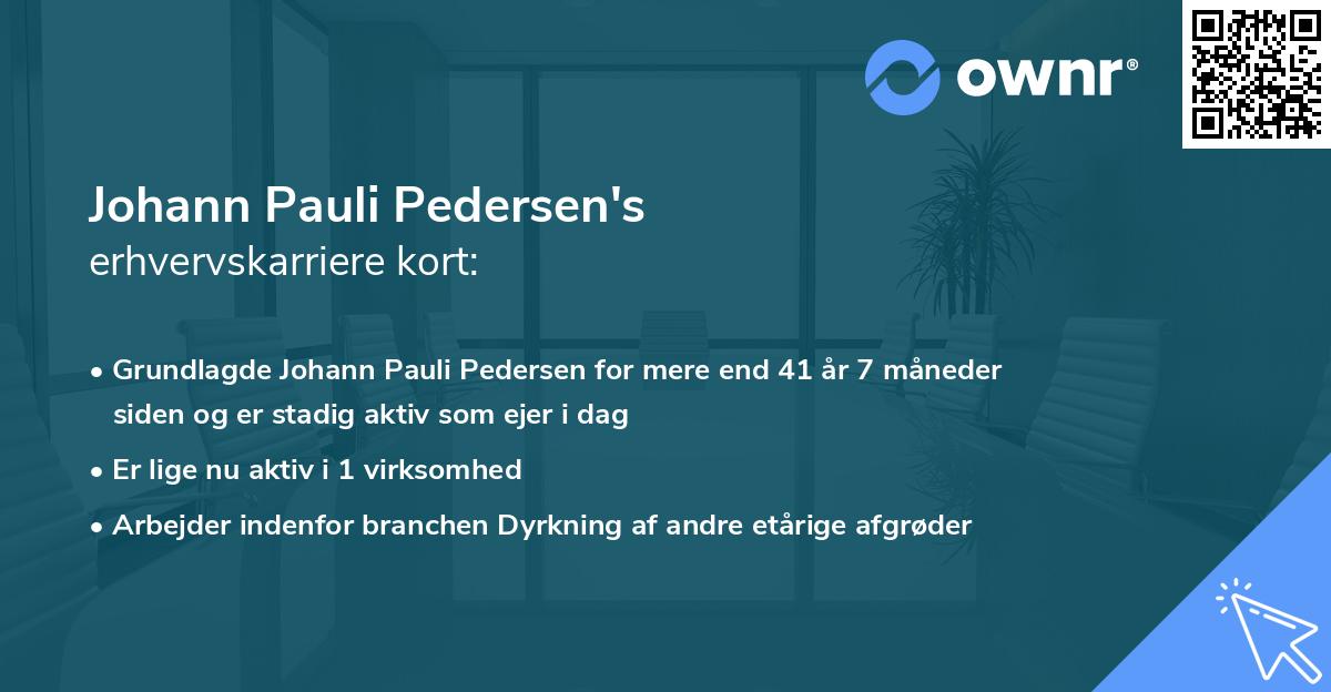 Johann Pauli Pedersen's erhvervskarriere kort