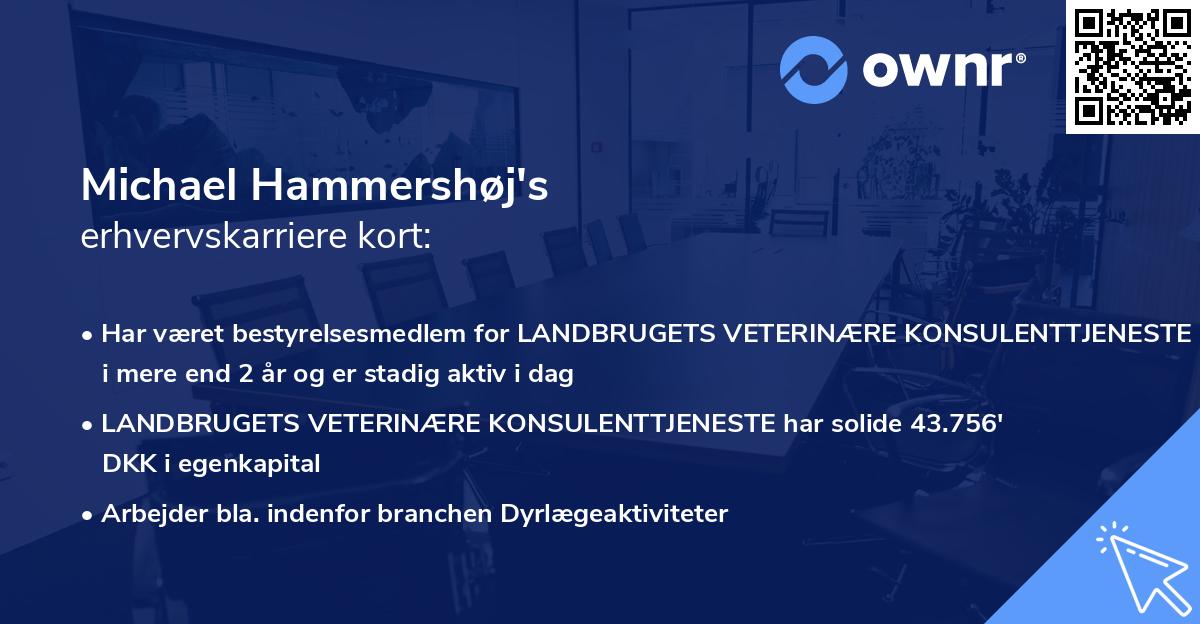 Michael Hammershøj's erhvervskarriere kort