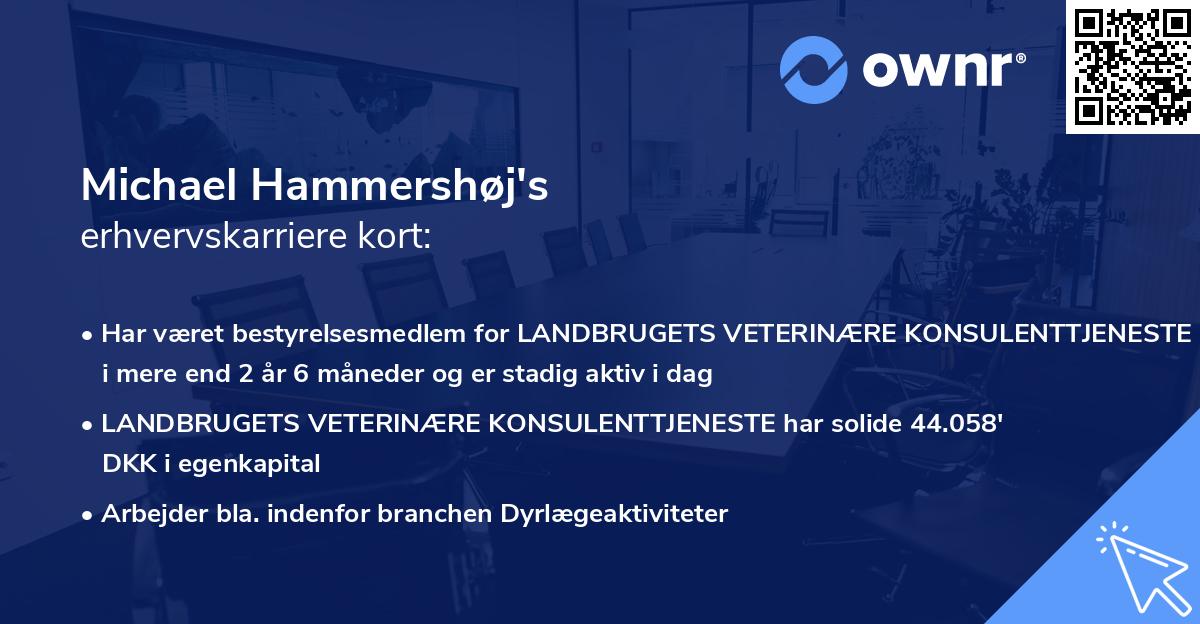 Michael Hammershøj's erhvervskarriere kort