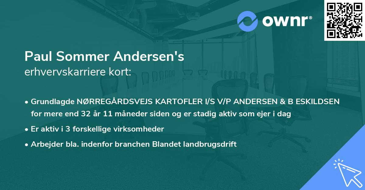 Paul Sommer Andersen's erhvervskarriere kort