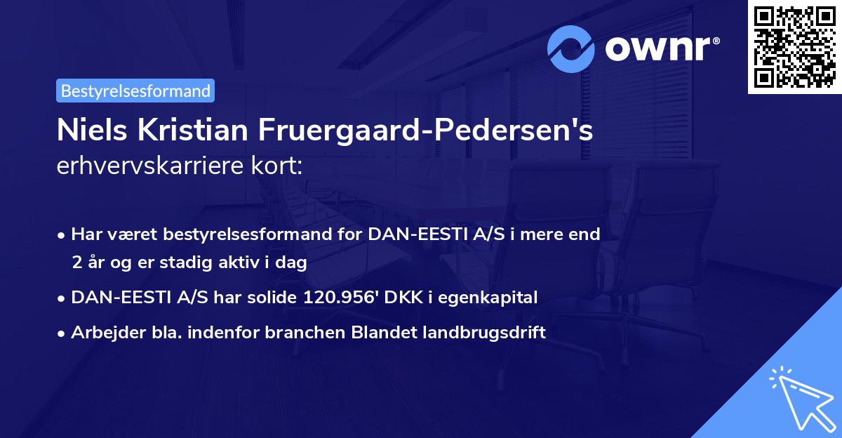Niels Kristian Fruergaard-Pedersen's erhvervskarriere kort