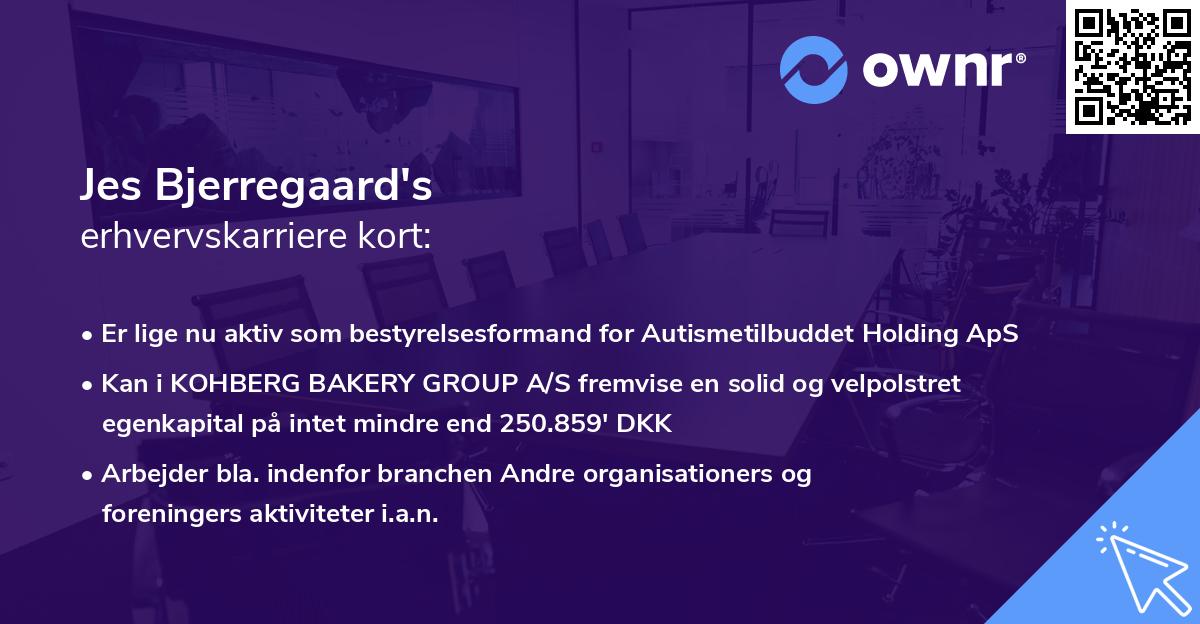 Jes Bjerregaard's erhvervskarriere kort