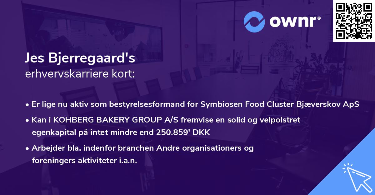 Jes Bjerregaard's erhvervskarriere kort