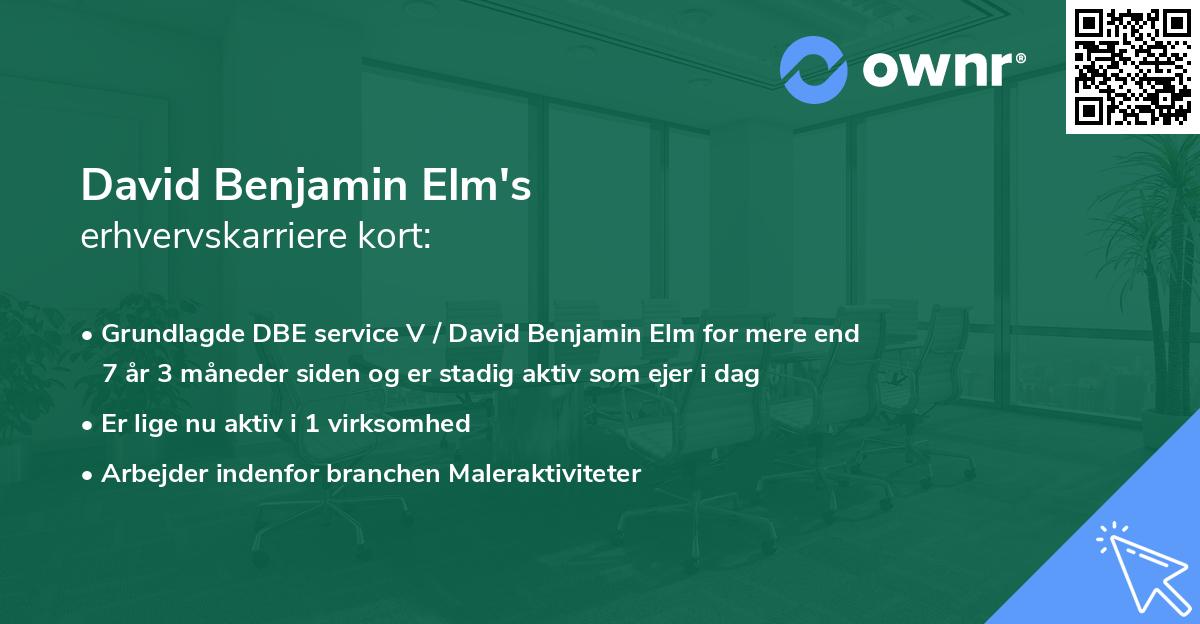 David Benjamin Elm's erhvervskarriere kort
