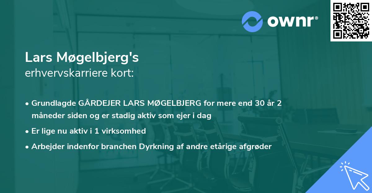 Lars Møgelbjerg's erhvervskarriere kort