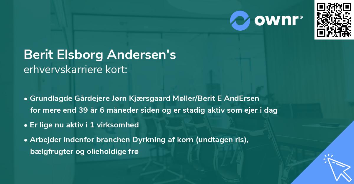 Berit Elsborg Andersen's erhvervskarriere kort
