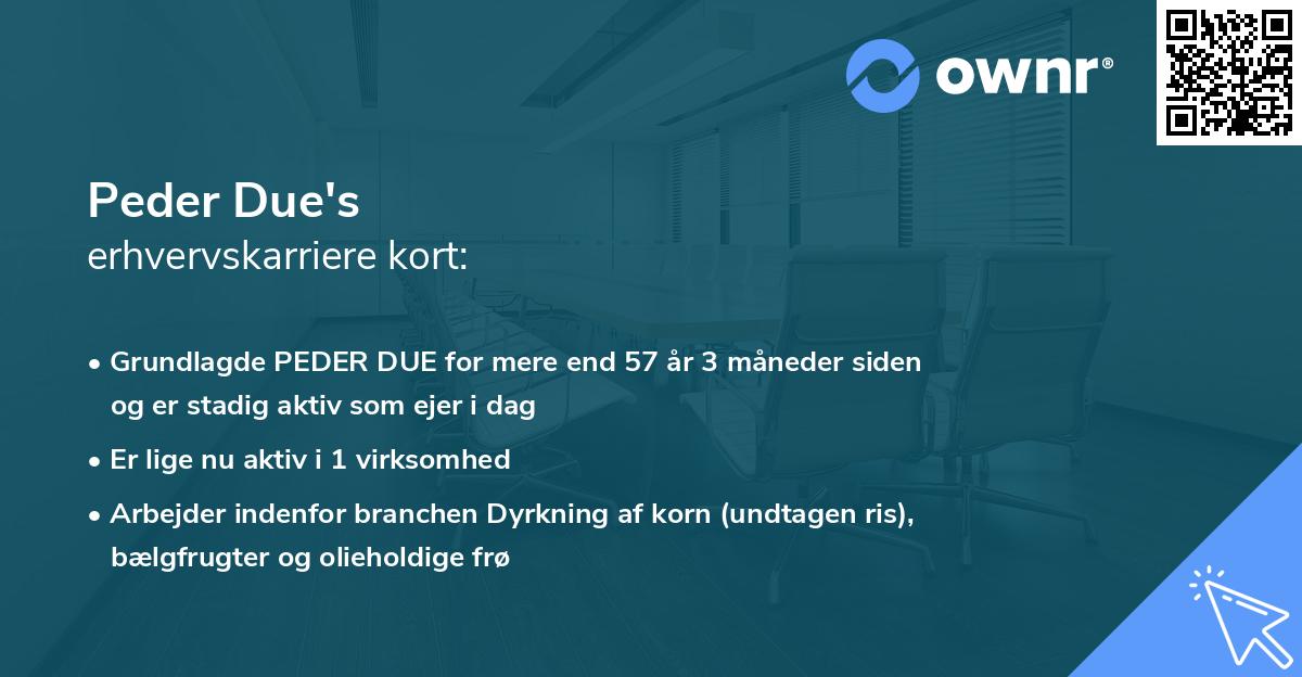 Peder Due's erhvervskarriere kort