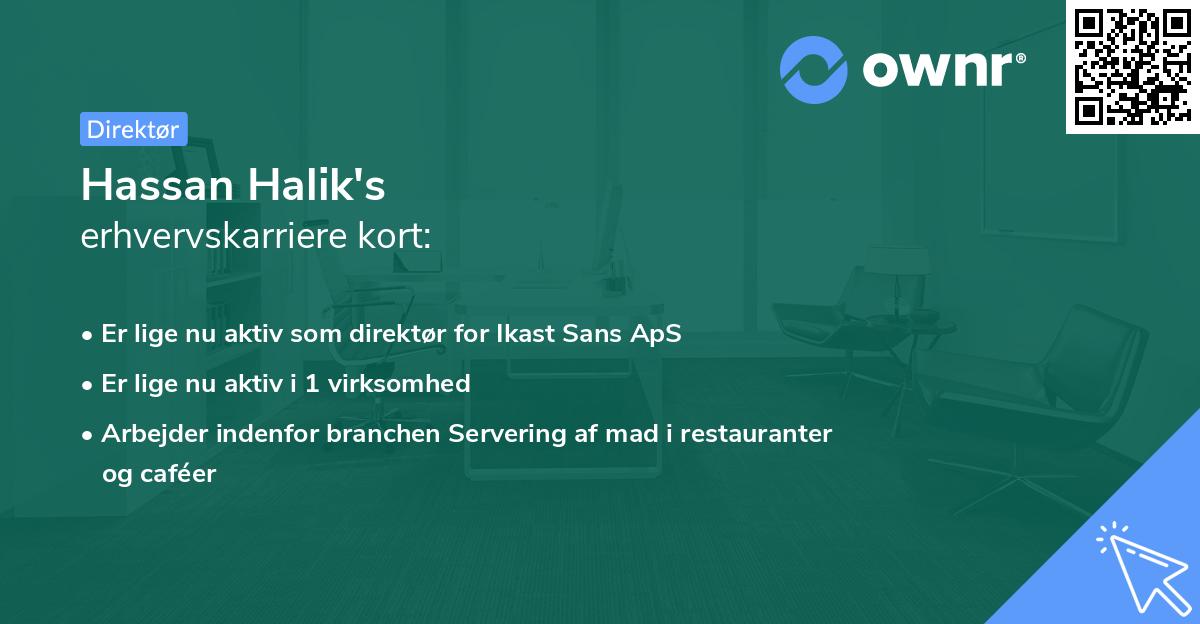 Hassan Halik's erhvervskarriere kort