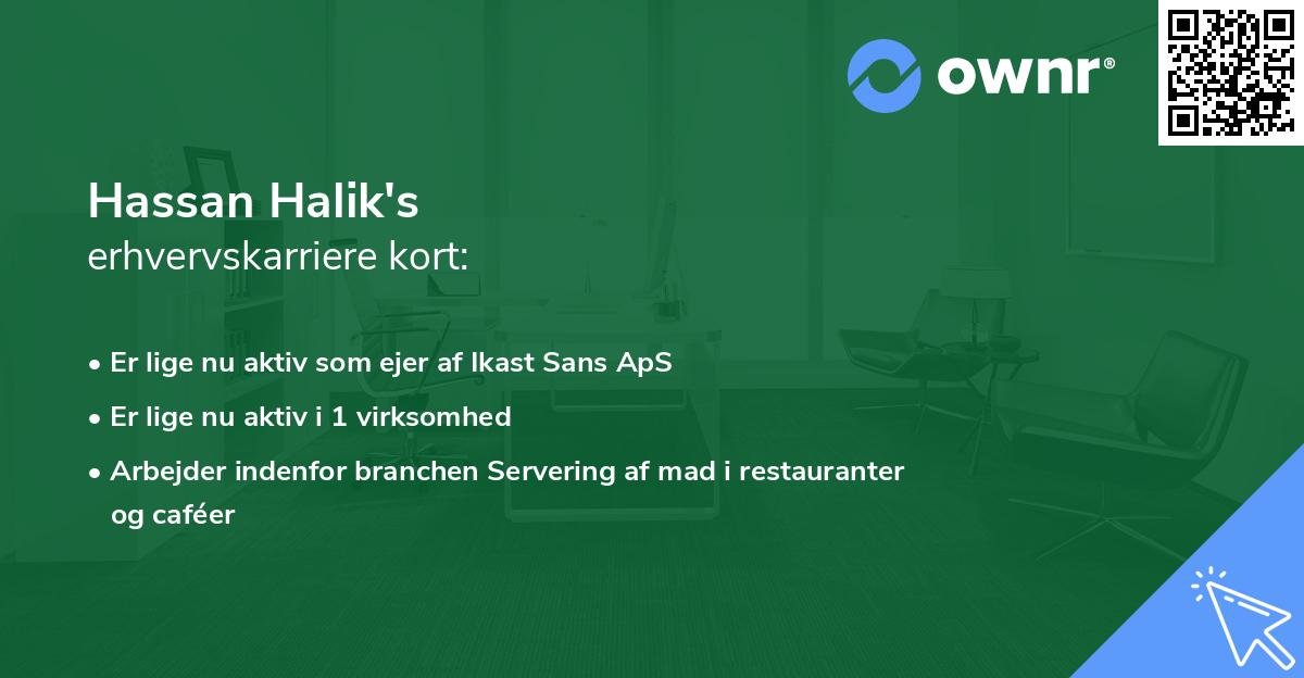 Hassan Halik's erhvervskarriere kort