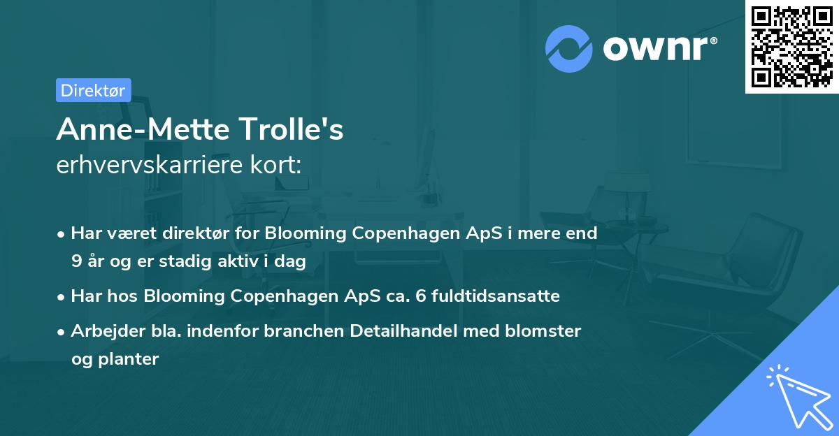 Anne-Mette Trolle's erhvervskarriere kort