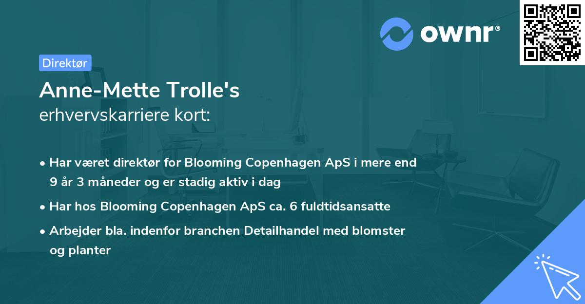 Anne-Mette Trolle's erhvervskarriere kort