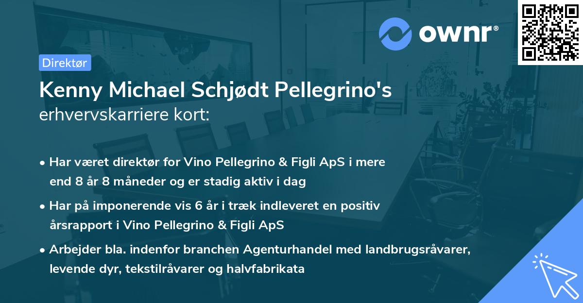 Kenny Michael Schjødt Pellegrino's erhvervskarriere kort