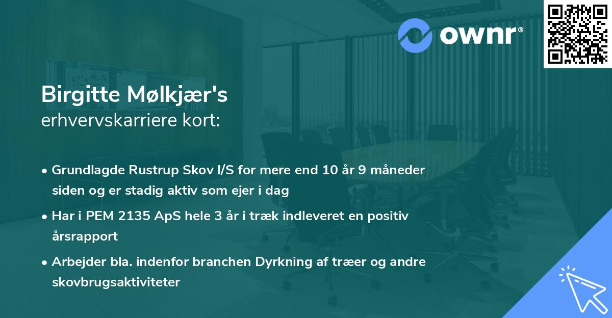 Birgitte Mølkjær's erhvervskarriere kort