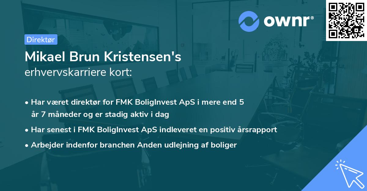 Mikael Brun Kristensen's erhvervskarriere kort