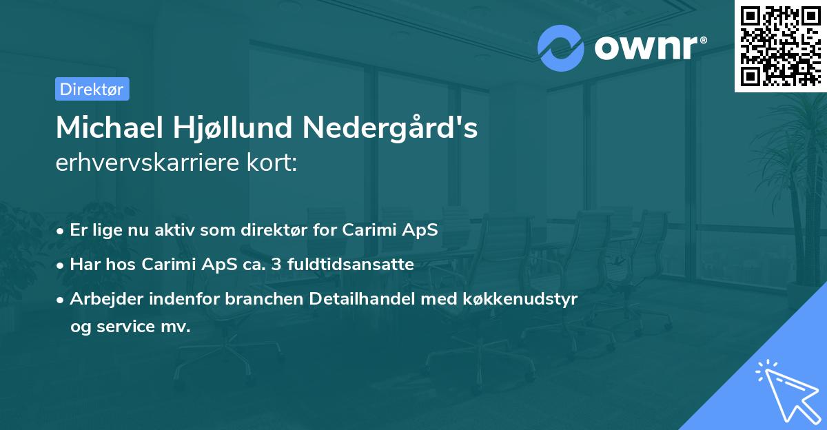 Michael Hjøllund Nedergård's erhvervskarriere kort