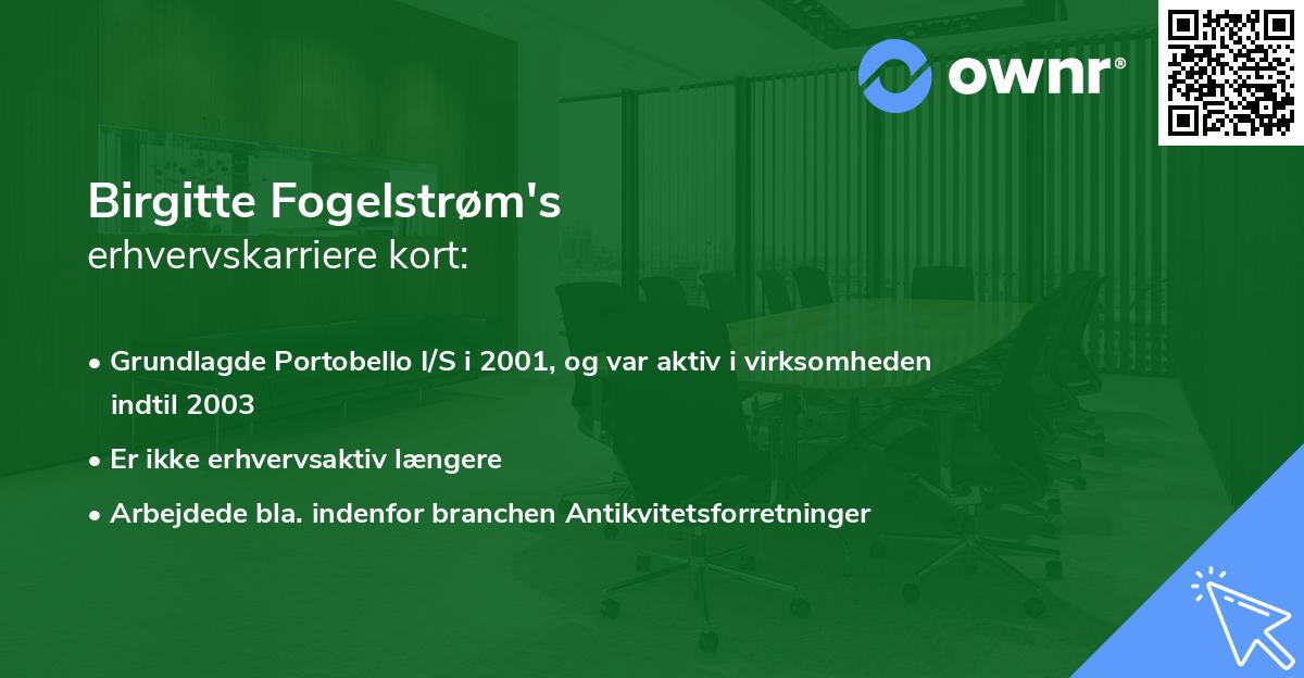 Birgitte Fogelstrøm's erhvervskarriere kort