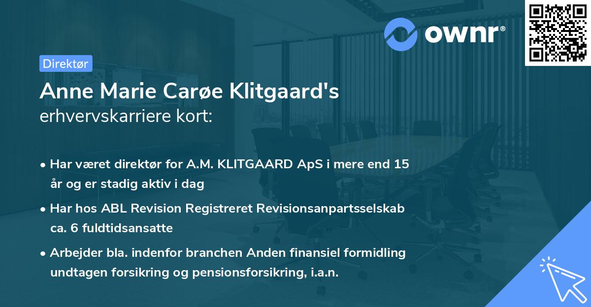 Anne Marie Carøe Klitgaard's erhvervskarriere kort