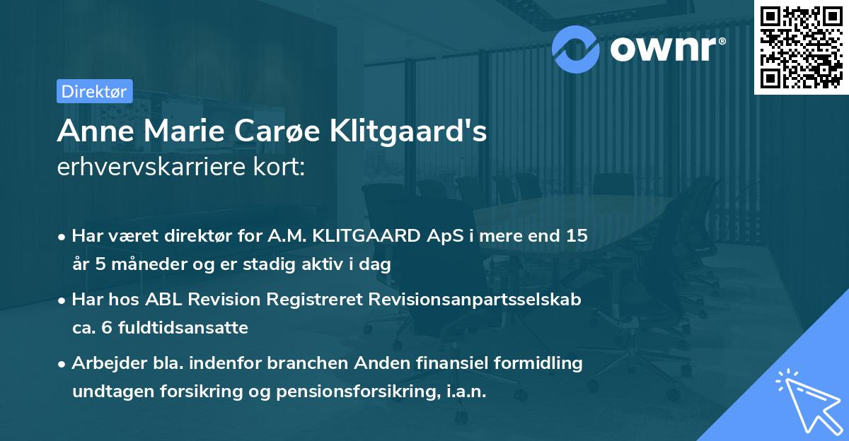 Anne Marie Carøe Klitgaard's erhvervskarriere kort