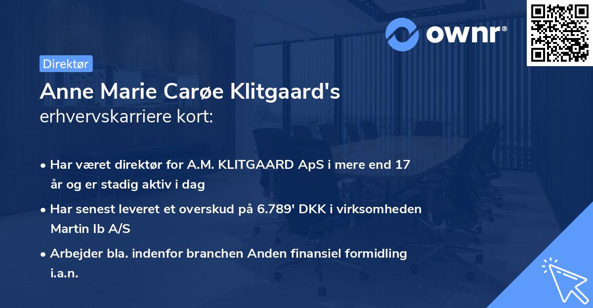 Anne Marie Carøe Klitgaard's erhvervskarriere kort