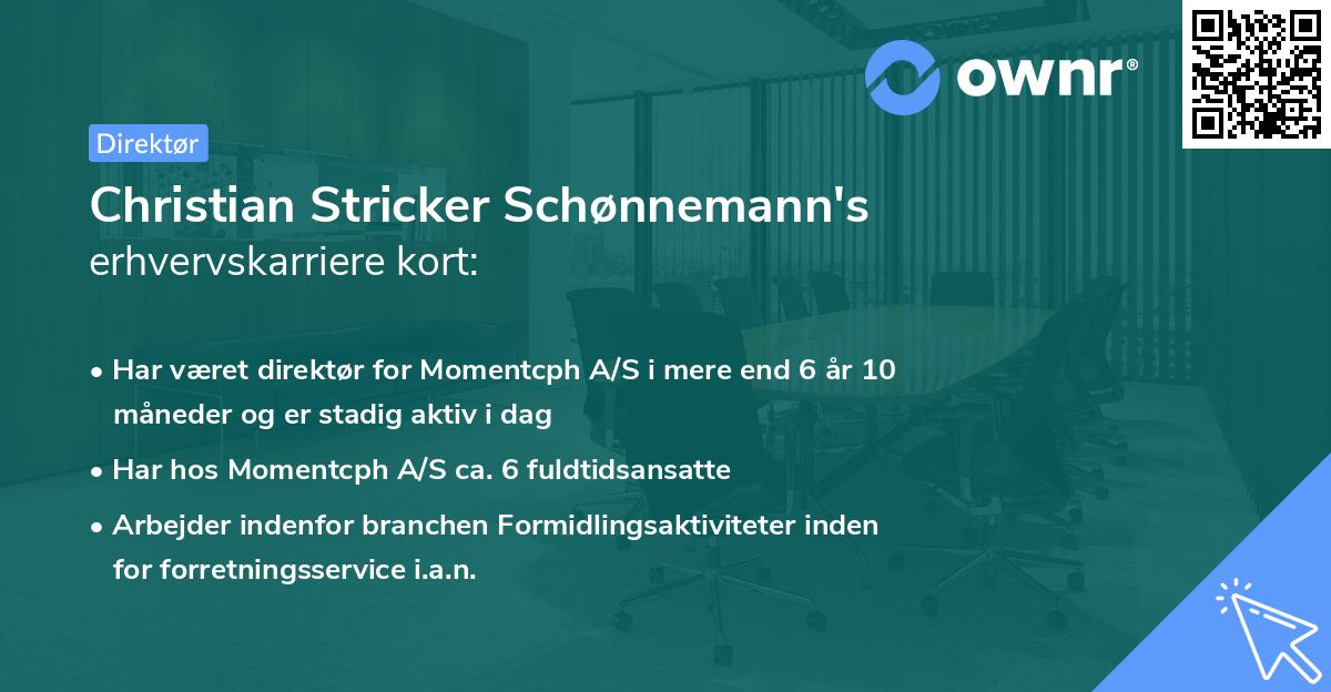 Christian Stricker Schønnemann's erhvervskarriere kort