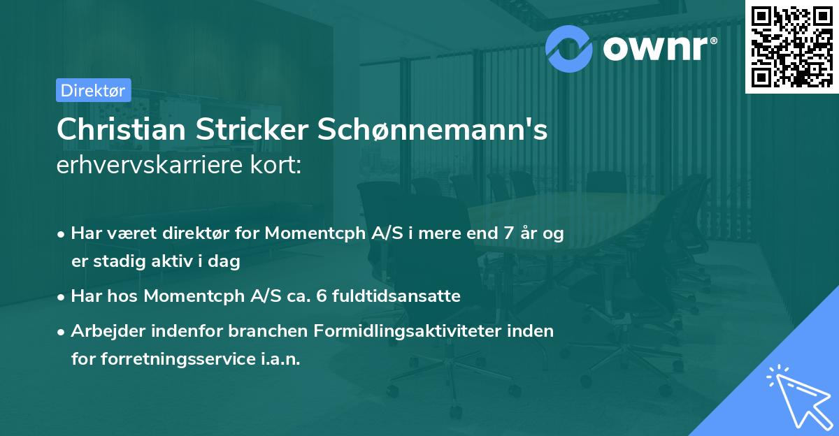 Christian Stricker Schønnemann's erhvervskarriere kort