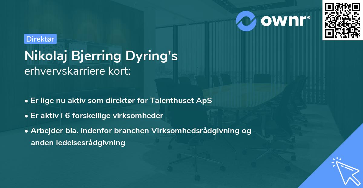 Nikolaj Bjerring Dyring's erhvervskarriere kort