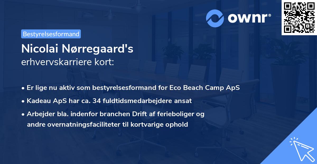 Nicolai Nørregaard's erhvervskarriere kort