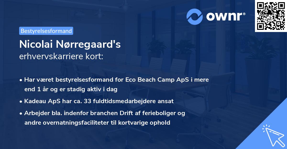 Nicolai Nørregaard's erhvervskarriere kort