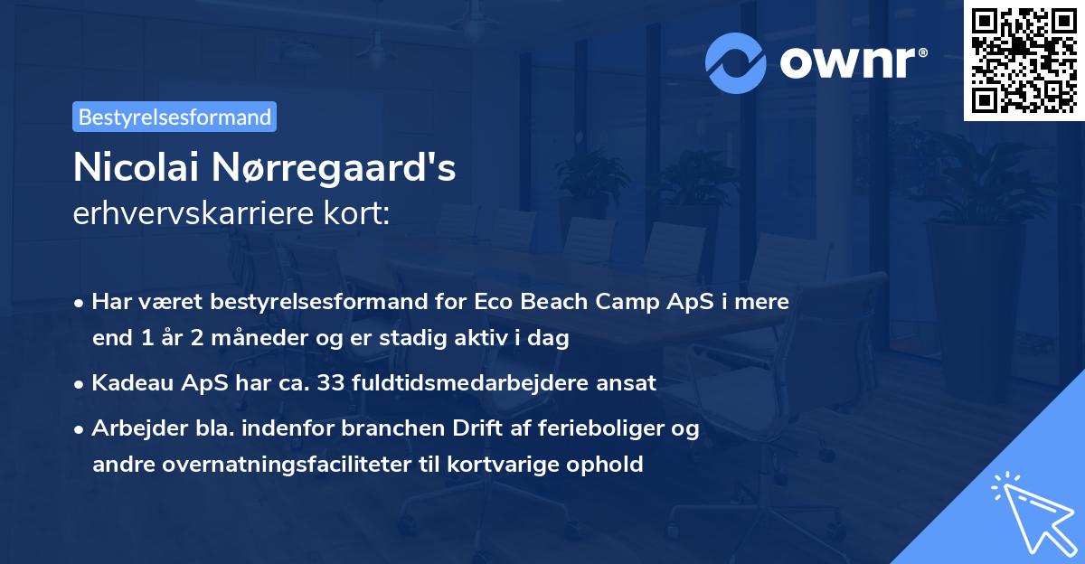 Nicolai Nørregaard's erhvervskarriere kort