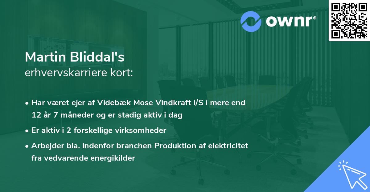 Martin Bliddal's erhvervskarriere kort