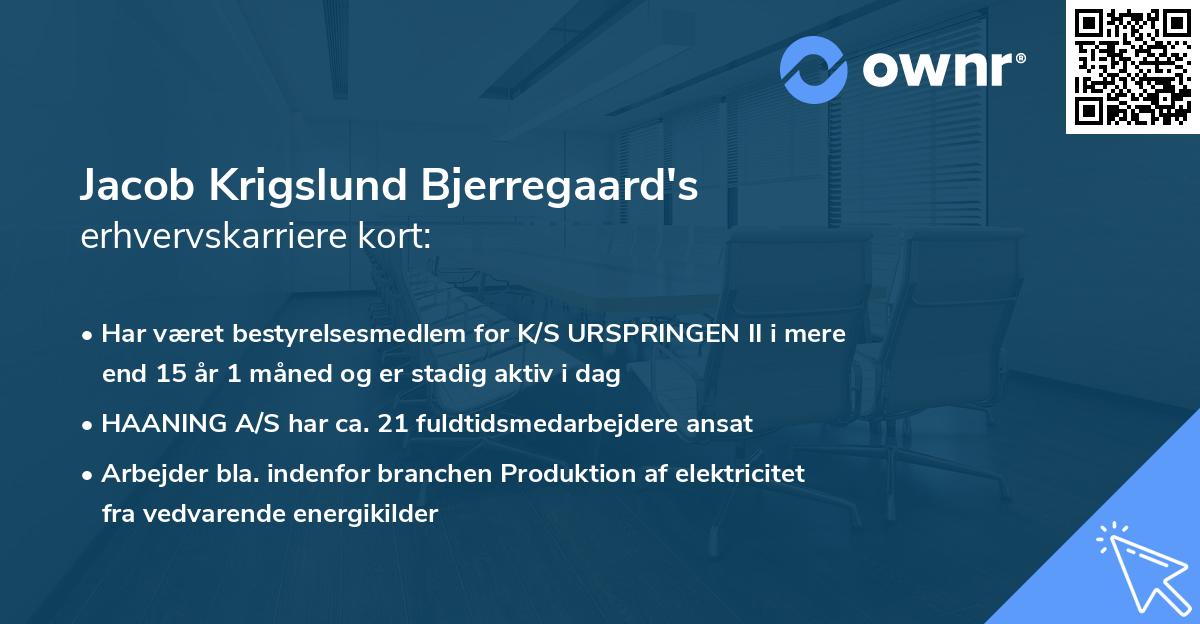 Jacob Krigslund Bjerregaard's erhvervskarriere kort