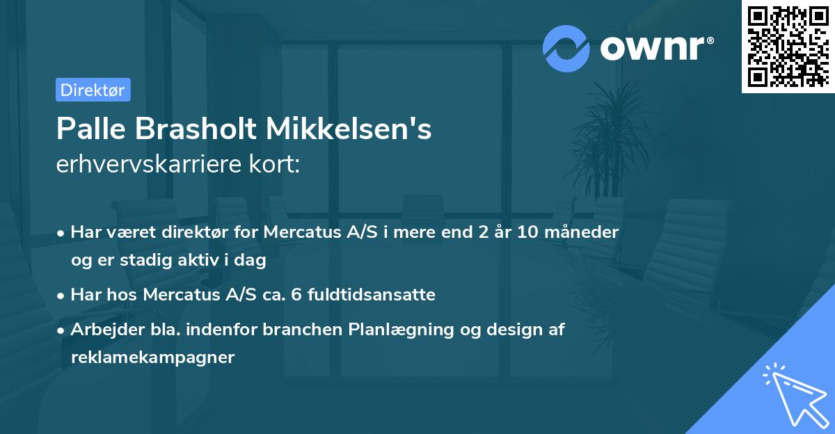 Palle Brasholt Mikkelsen's erhvervskarriere kort